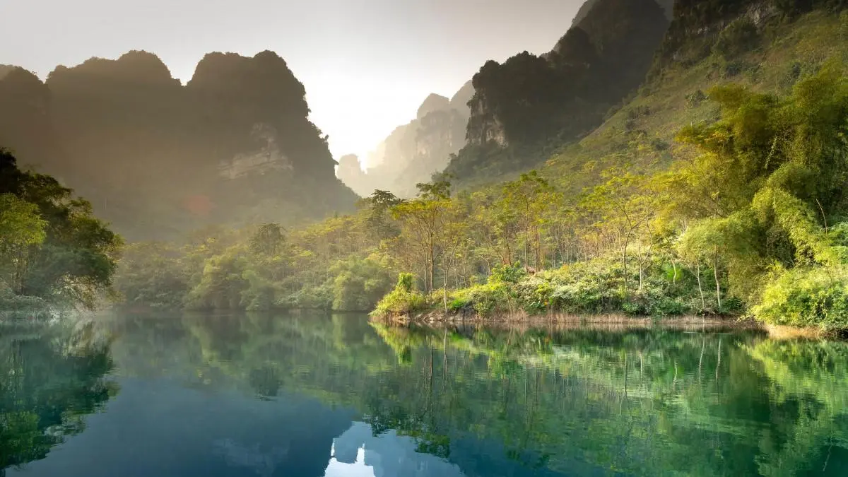 高效智能化智能